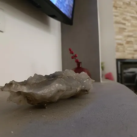 Διαμέρισμα Noah's Seaside Golem (Tirana)