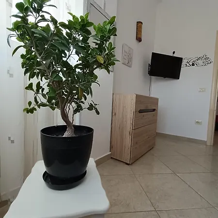 Noah's Seaside Apartman *