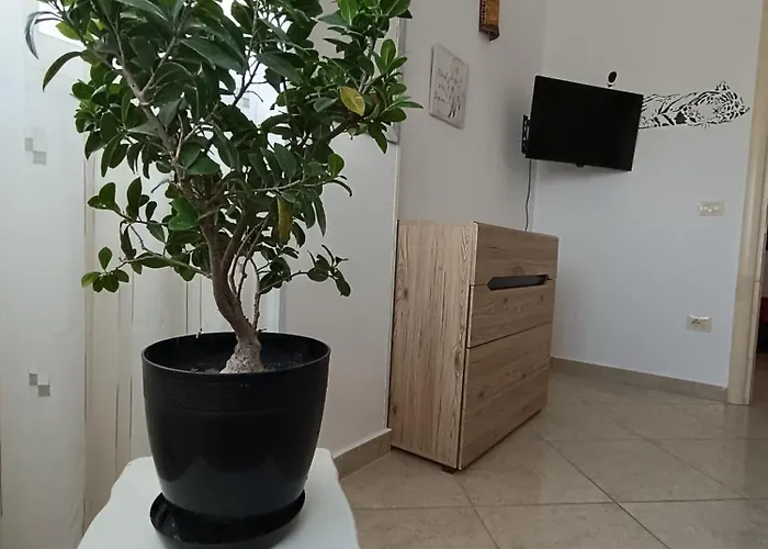 Noah's Seaside דירה *